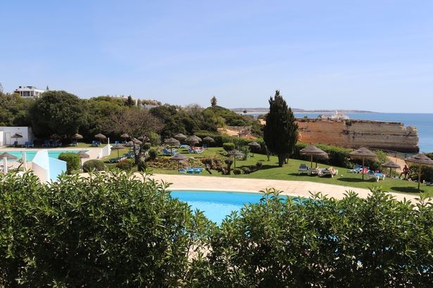 murrellportugal murrellportugal