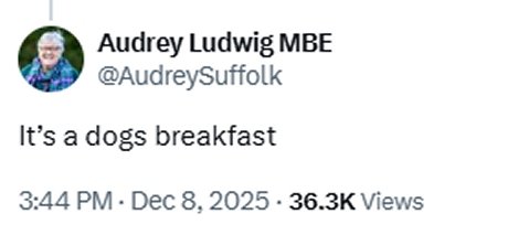 The Valley Of The Dolls